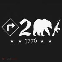 Right To Bear Arms Symbols Pro Guns Gun Rights American Ornament thumb 1