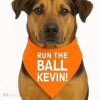 Run The Ball Kevin Funny Football Fan Meme USA-Made Doggie Bandana thumb 1