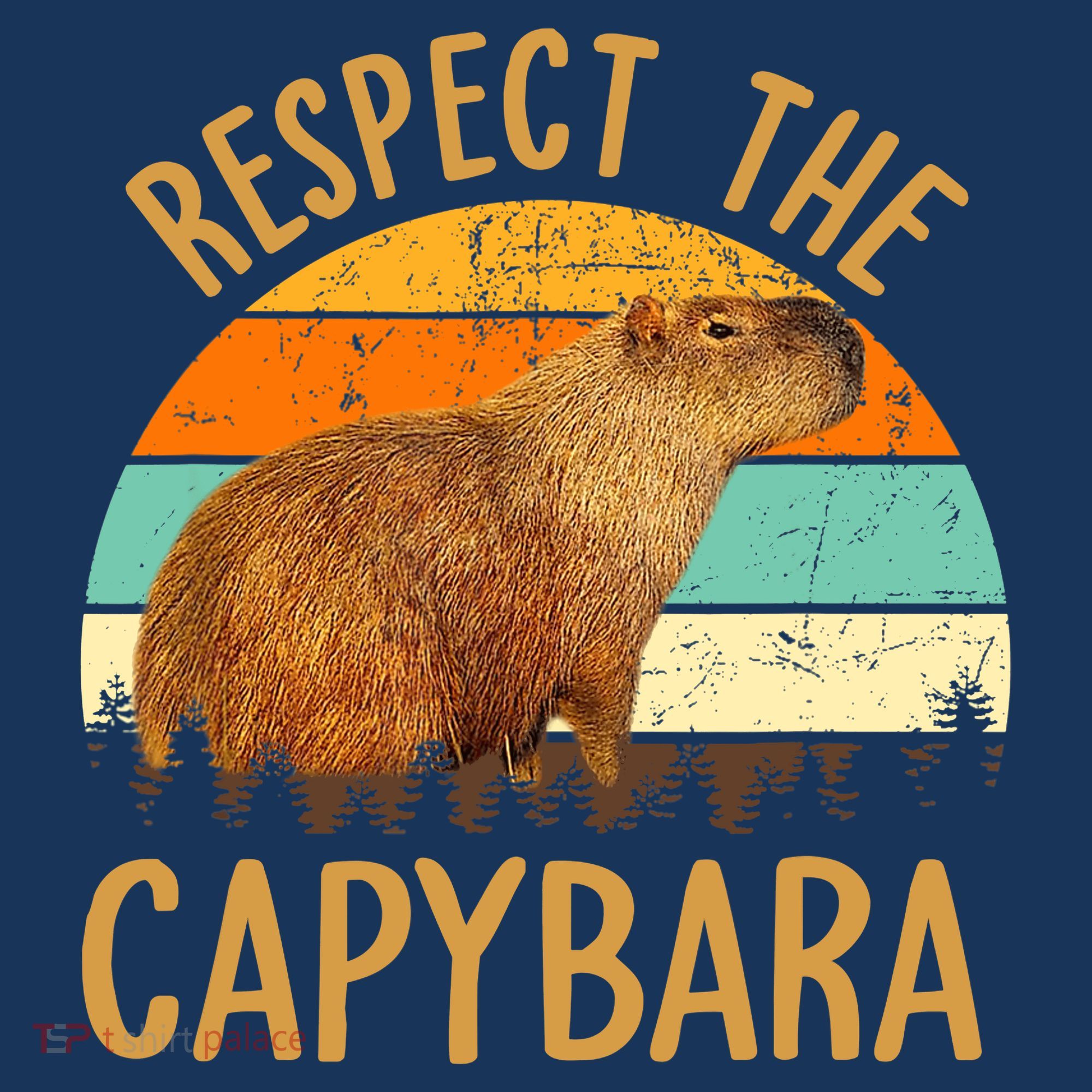 Respect The Capybara Animal Funny Capybara Lover Visor
