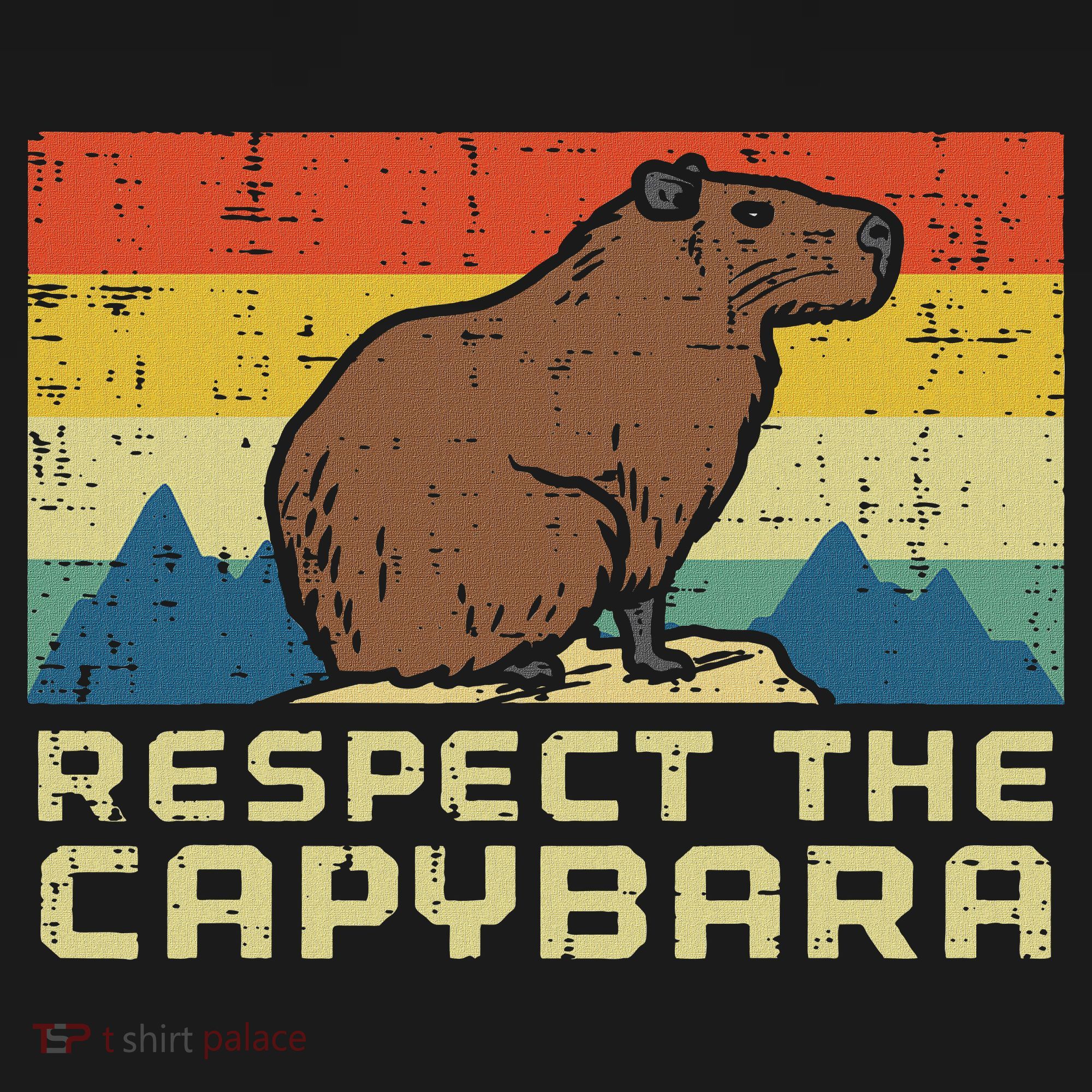 Respect The Capybara Retro Capy Rodent Animal Women Women's Hoodie