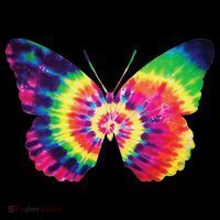 Rainbow Tie Dye Butterfly Tye Die Look Cool Toddler Hoodie thumb 2