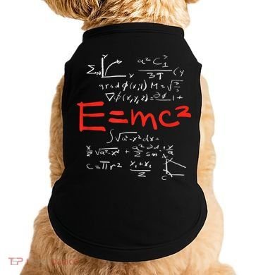 Relativity Theory E = Mc2 Theory Equation Physics Study Doggie Tank