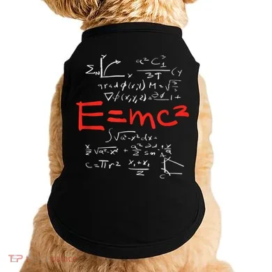 Relativity Theory E = Mc2 Theory Equation Physics Study Doggie Tank