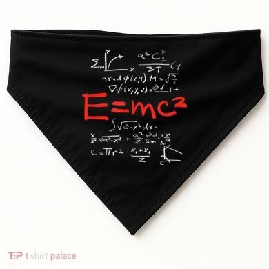 Relativity Theory E = Mc2 Theory Equation Physics Study USA-Made Doggie Bandana