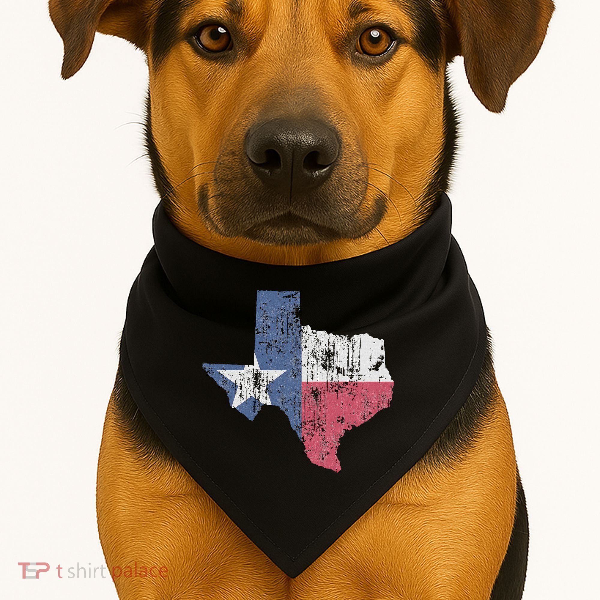 Retro Texas Flag Map USA-Made Doggie Bandana