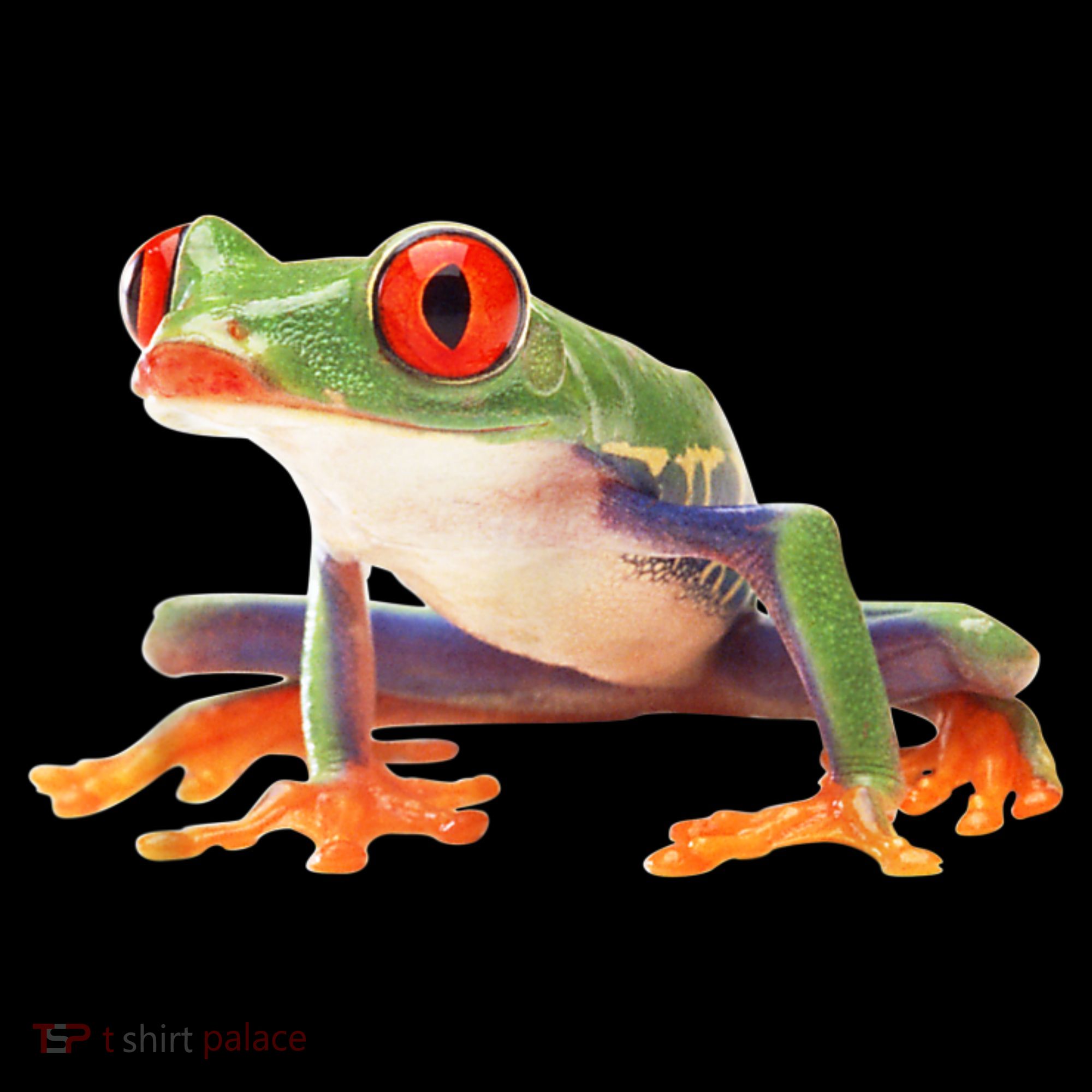 Redeyed Tree Frog Clothing Apparel Agalychnis Callidryas Coffee Mug
