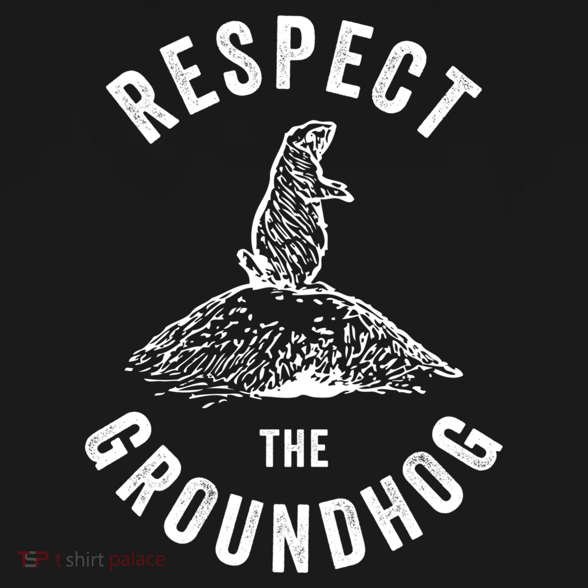 Respect The Groundhog Funny Groundhog Day Shadow Lover Gift Ornament