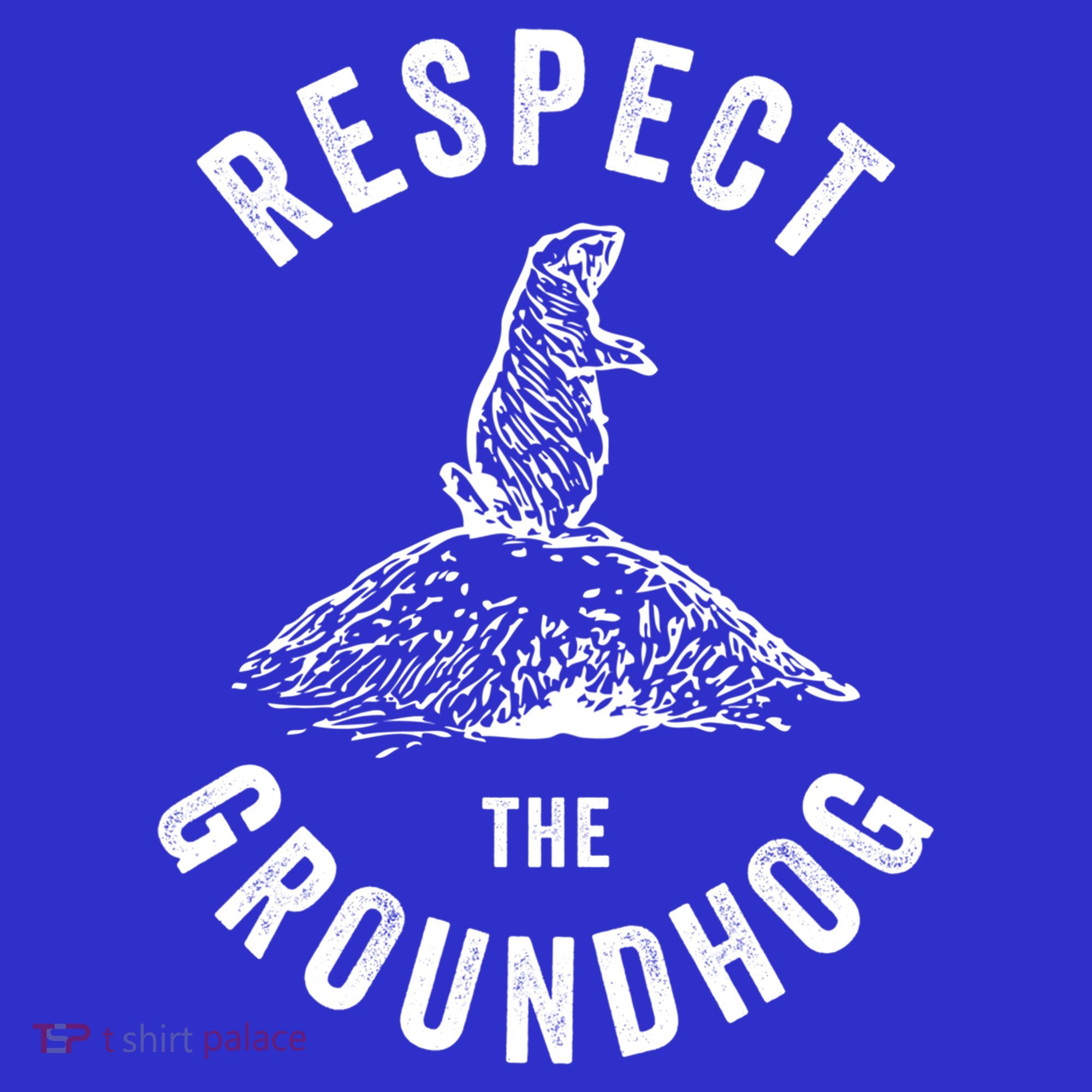 Respect The Groundhog Funny Groundhog Day Shadow Lover Gift Hoodie