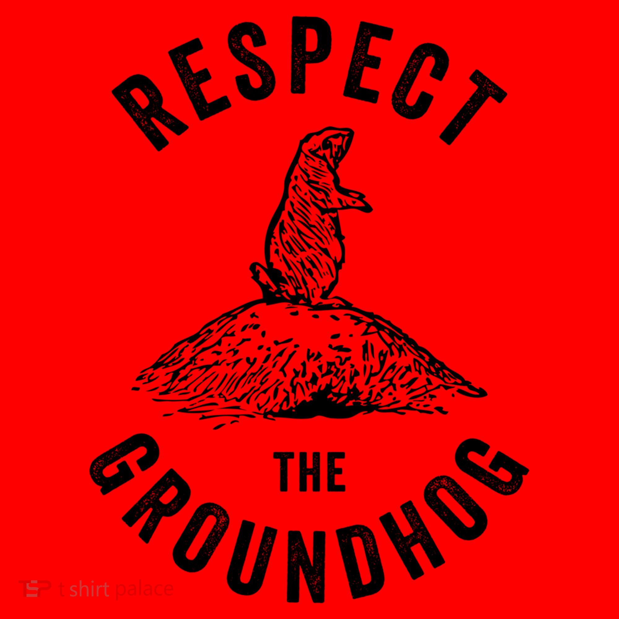 Respect The Groundhog Funny Groundhog Day Shadow Lover Gift Santa Hat