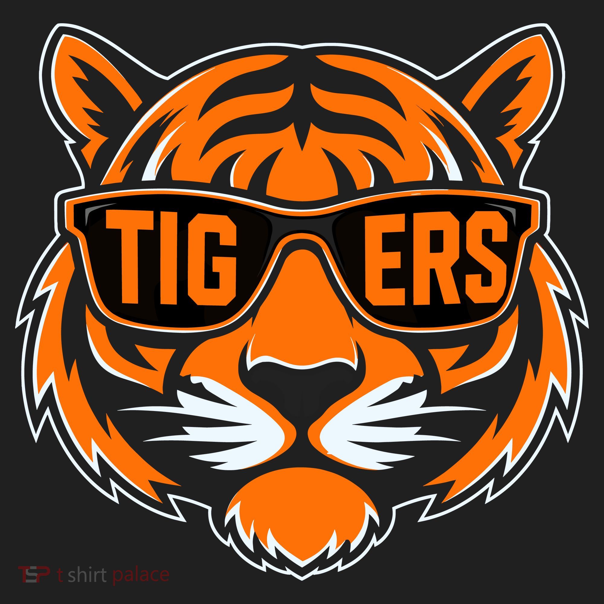 Retro Tigers Gift Sports Fan Name Tumbler
