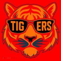 Retro Tigers Gift Sports Fan Name Santa Hat thumb 1