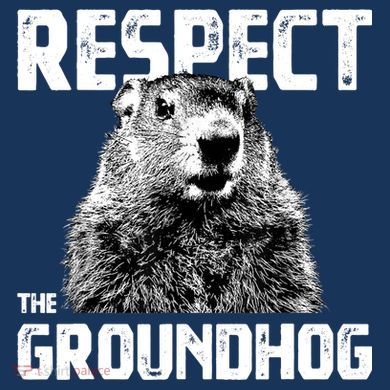 Respect The Groundhog Funny Woodchuck Toddler Zip Fleece Hoodie