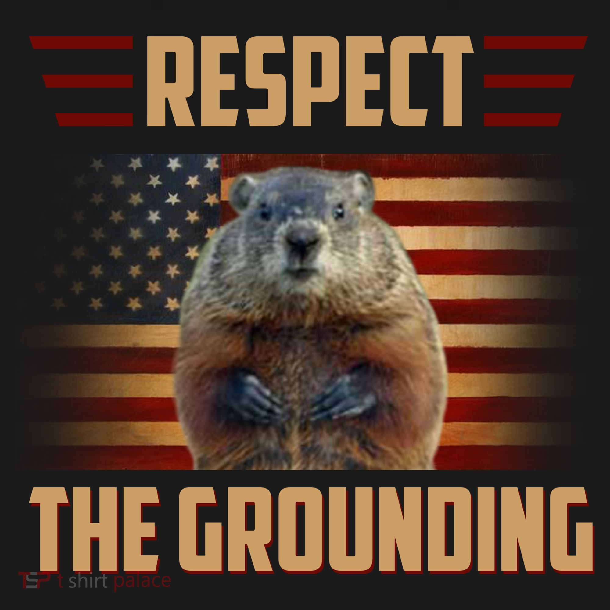 Respect The Grounding, Groundhog Day City Backpack