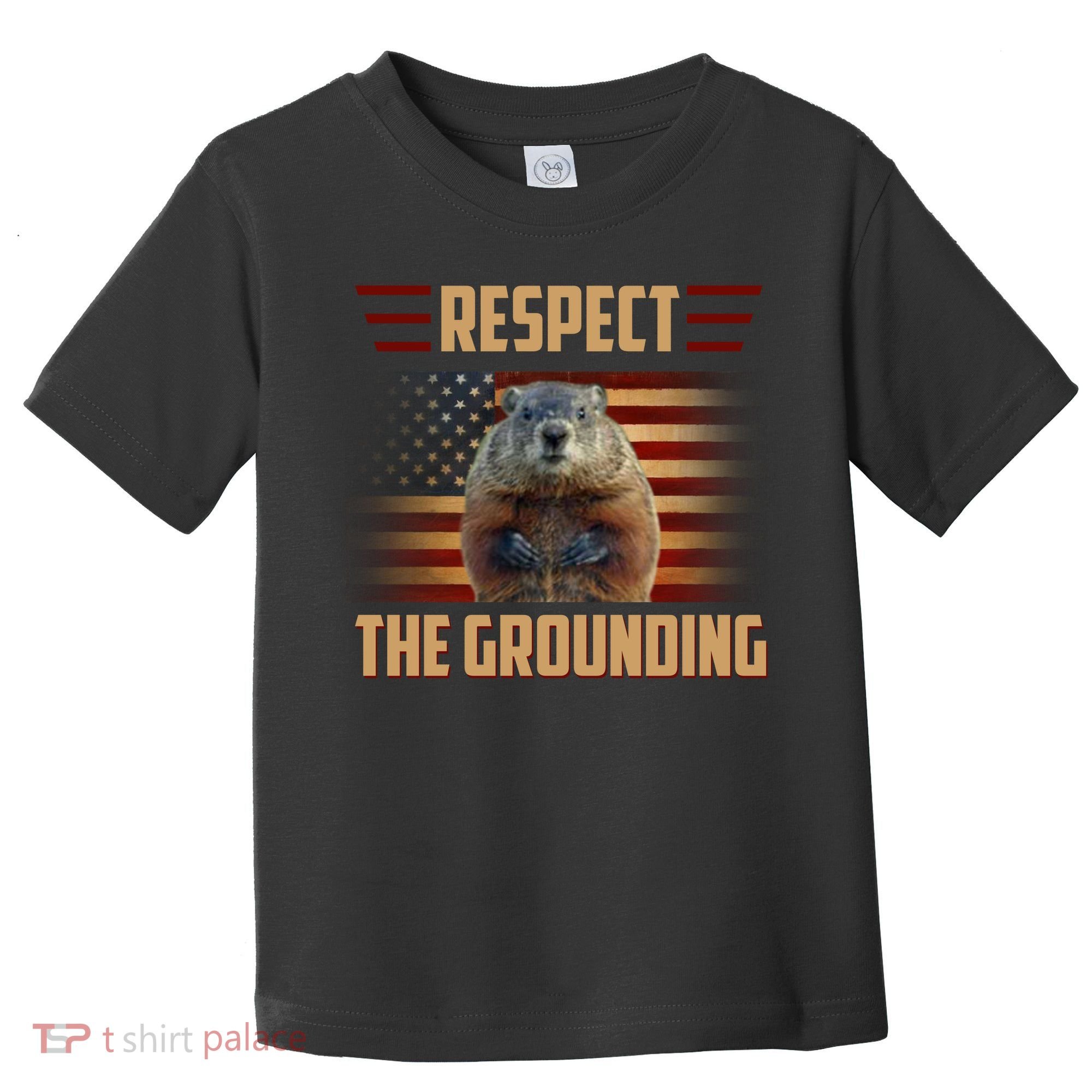 Respect The Grounding, Groundhog Day Toddler T-Shirt