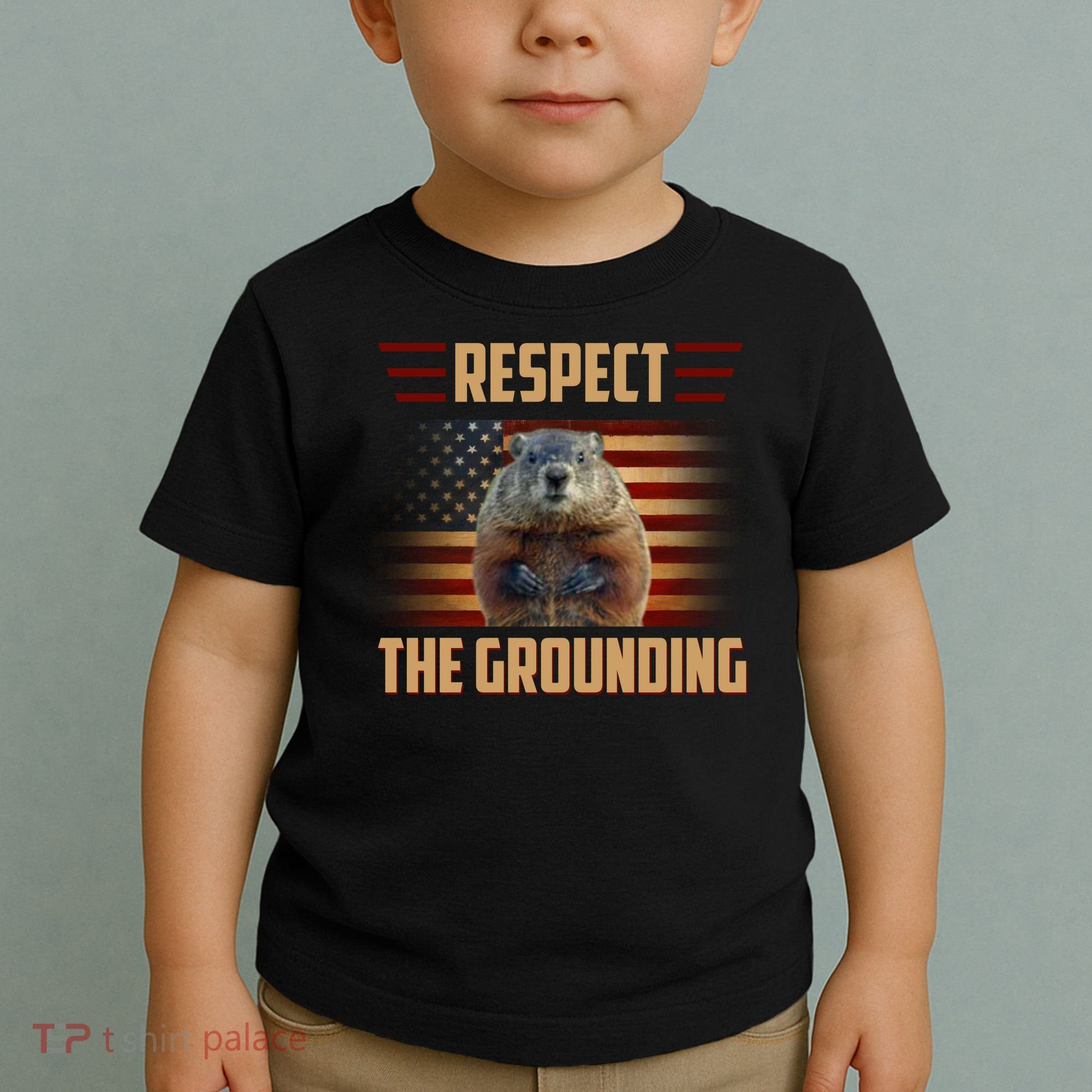 Respect The Grounding, Groundhog Day Toddler T-Shirt