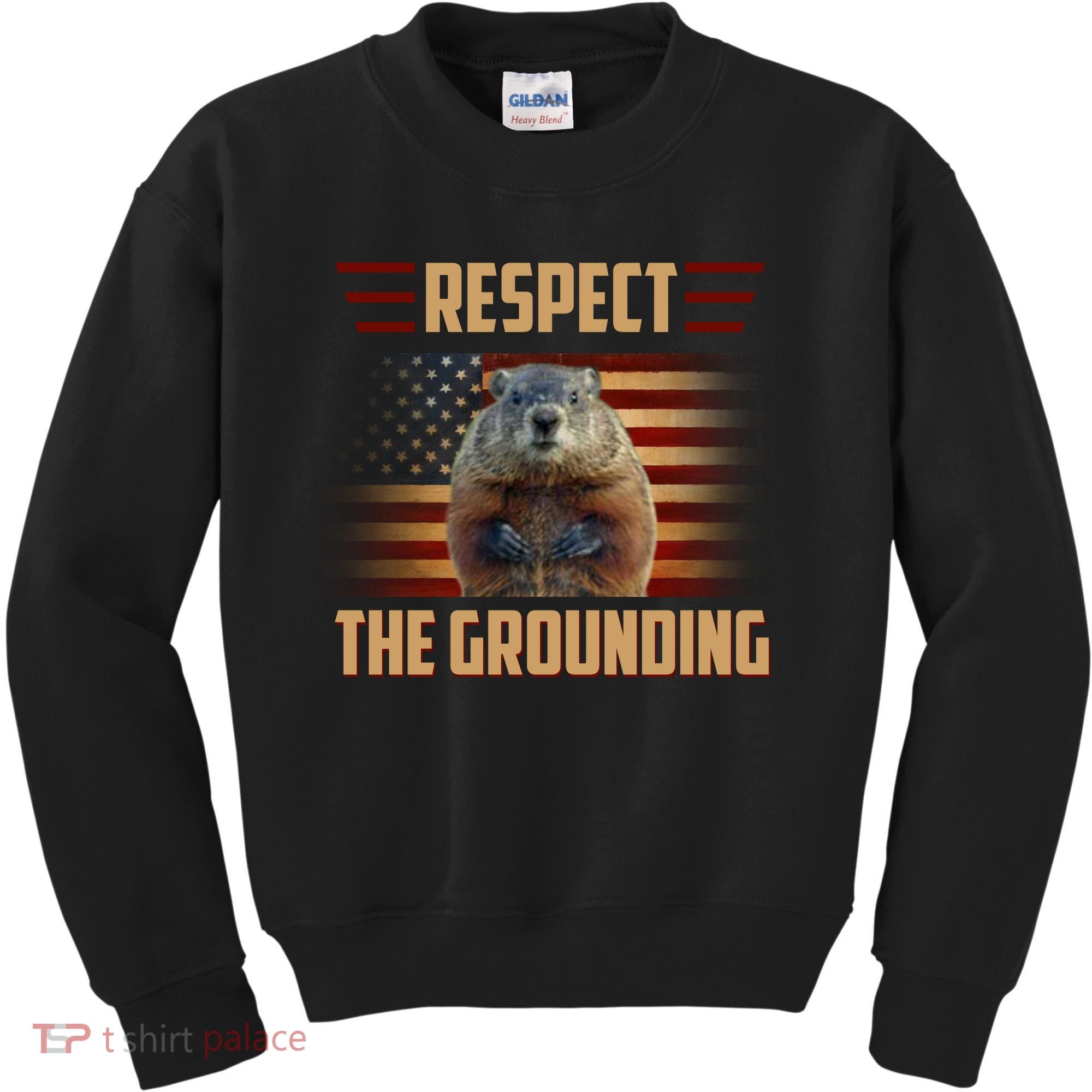 Respect The Grounding, Groundhog Day Kids Sweatshirt