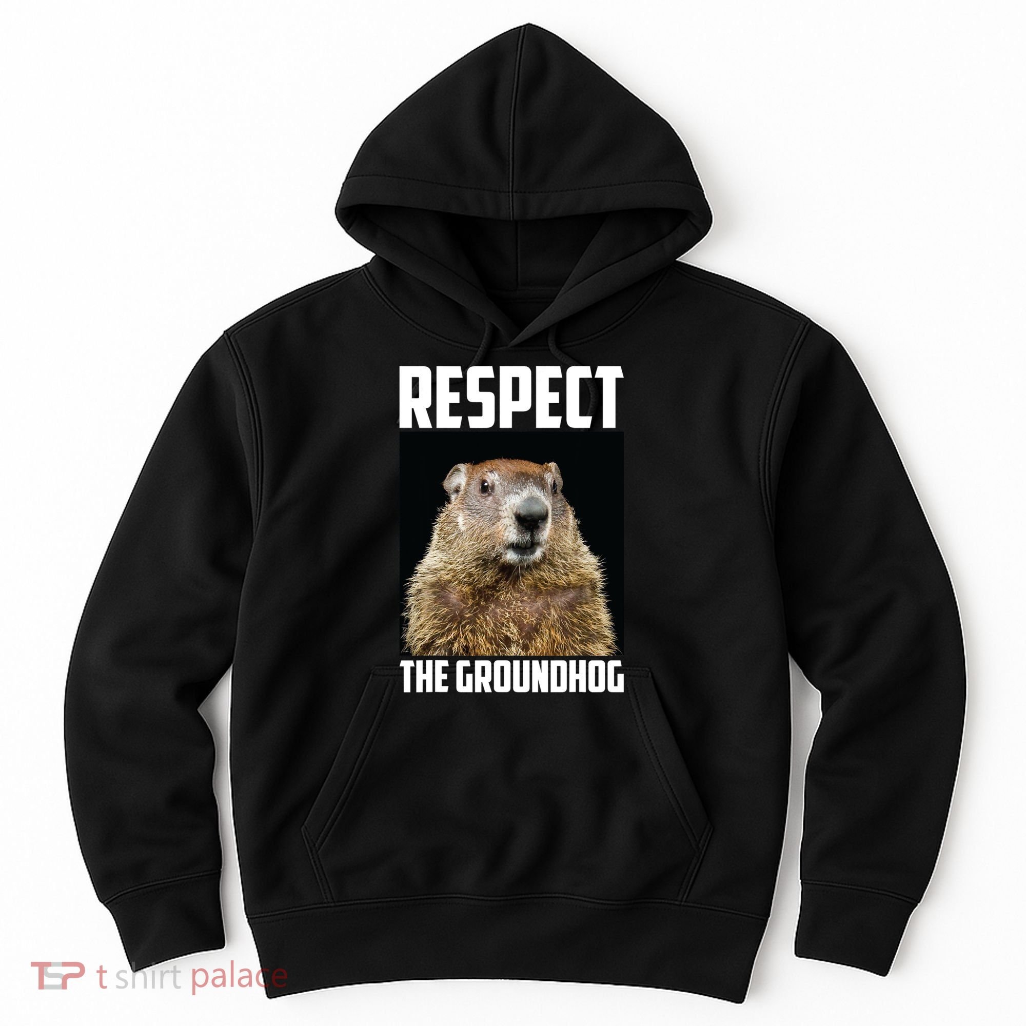Respect The Groundhog Day Funny Rodent Gift Hoodie