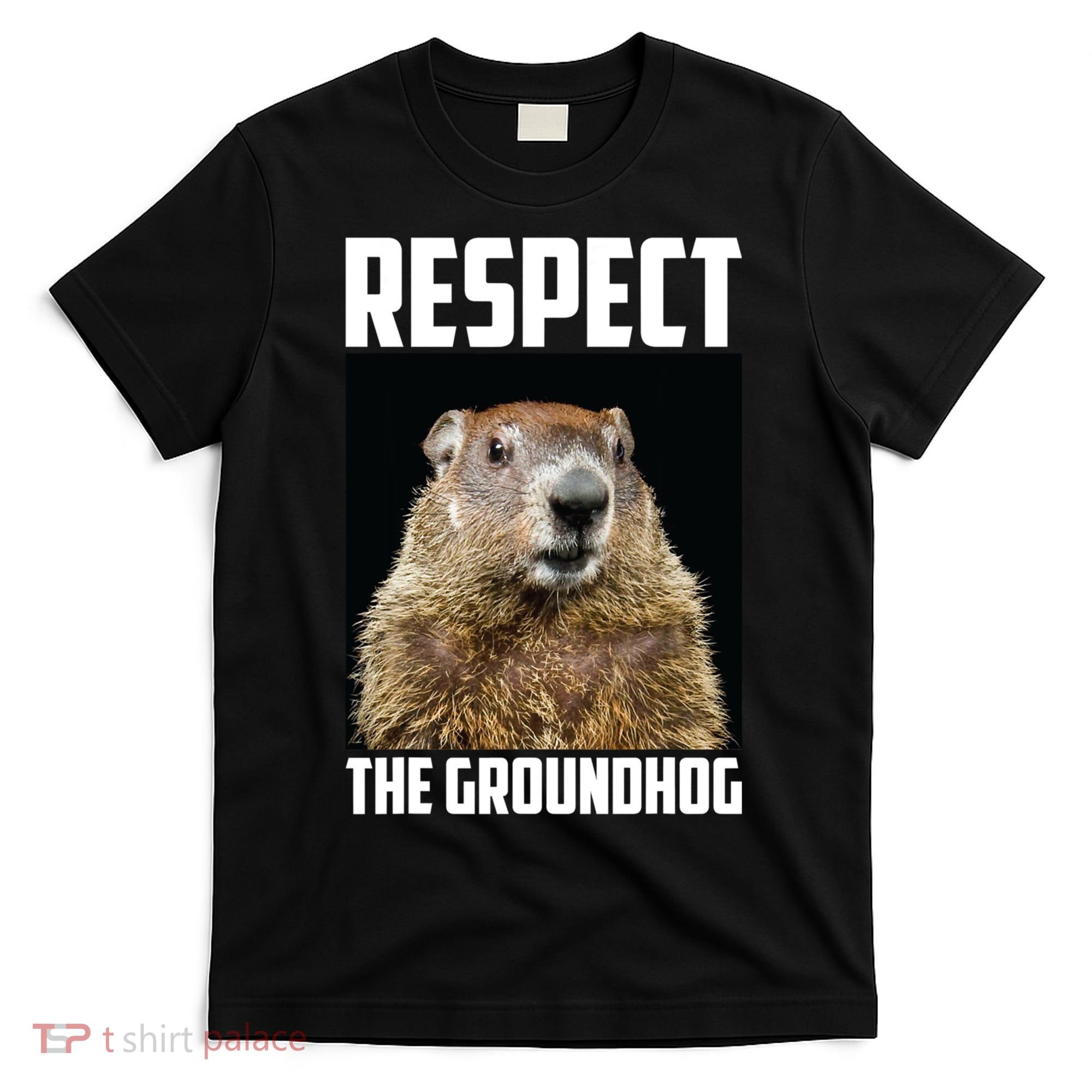 Respect The Groundhog Day Funny Rodent Gift T-Shirt