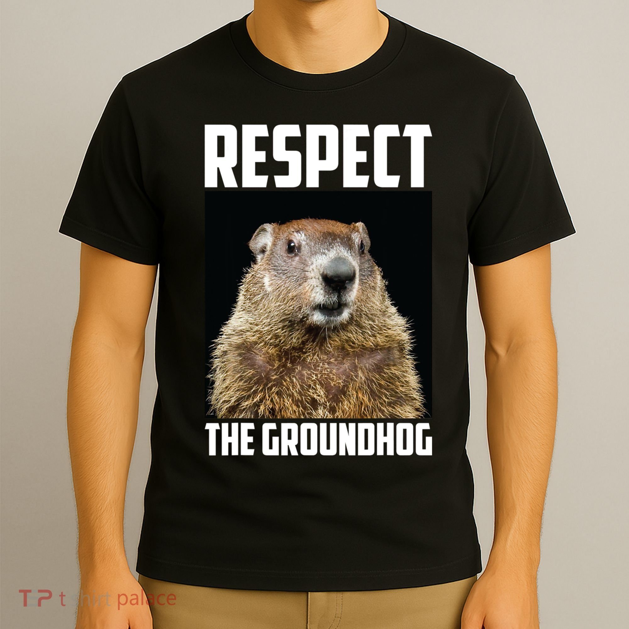 Respect The Groundhog Day Funny Rodent Gift T-Shirt