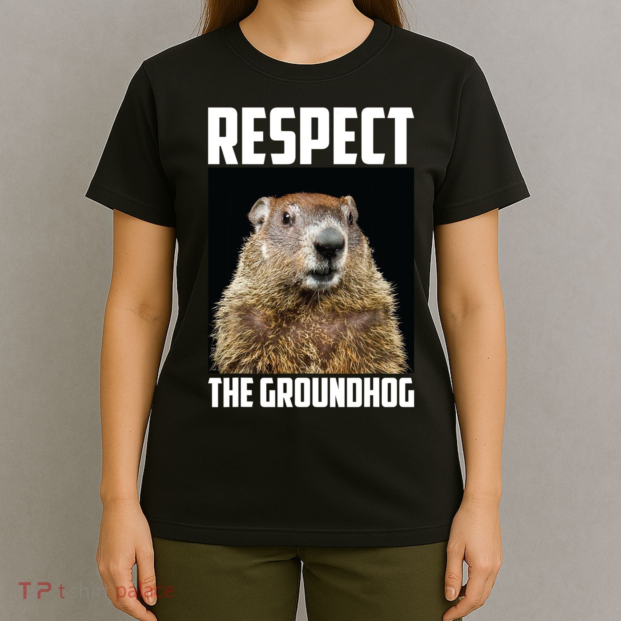 Respect The Groundhog Day Funny Rodent Gift T-Shirt