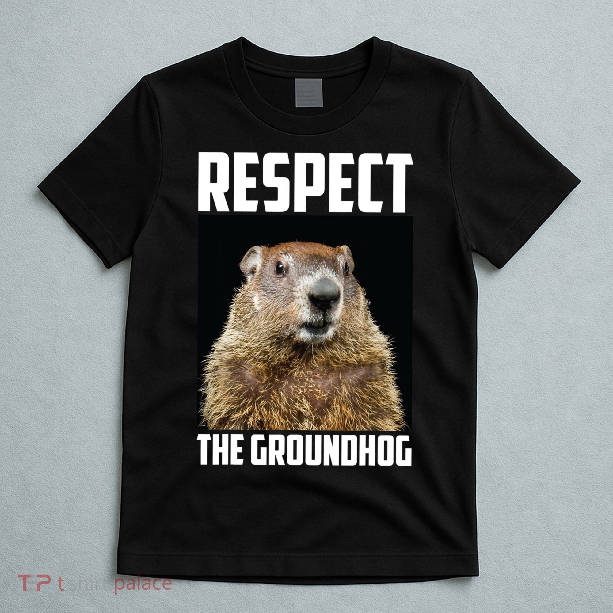 Respect The Groundhog Day Funny Rodent Gift T-Shirt