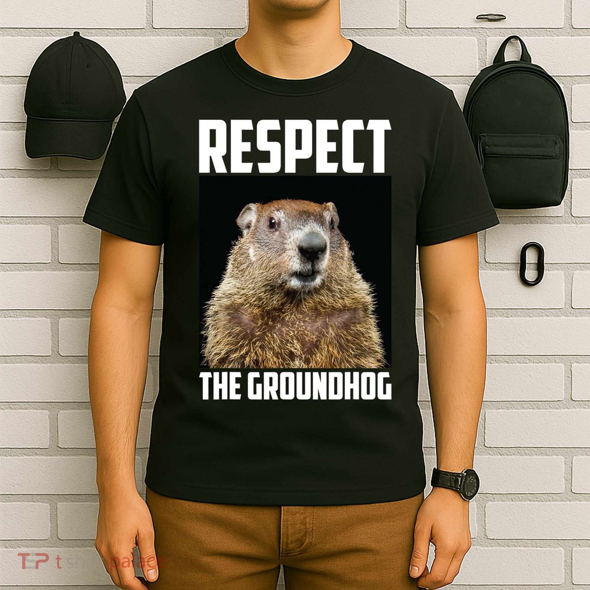 Respect The Groundhog Day Funny Rodent Gift T-Shirt