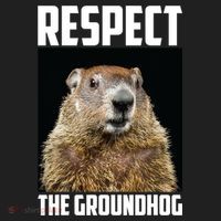 Respect The Groundhog Day Funny Rodent Gift Beanie thumb 2