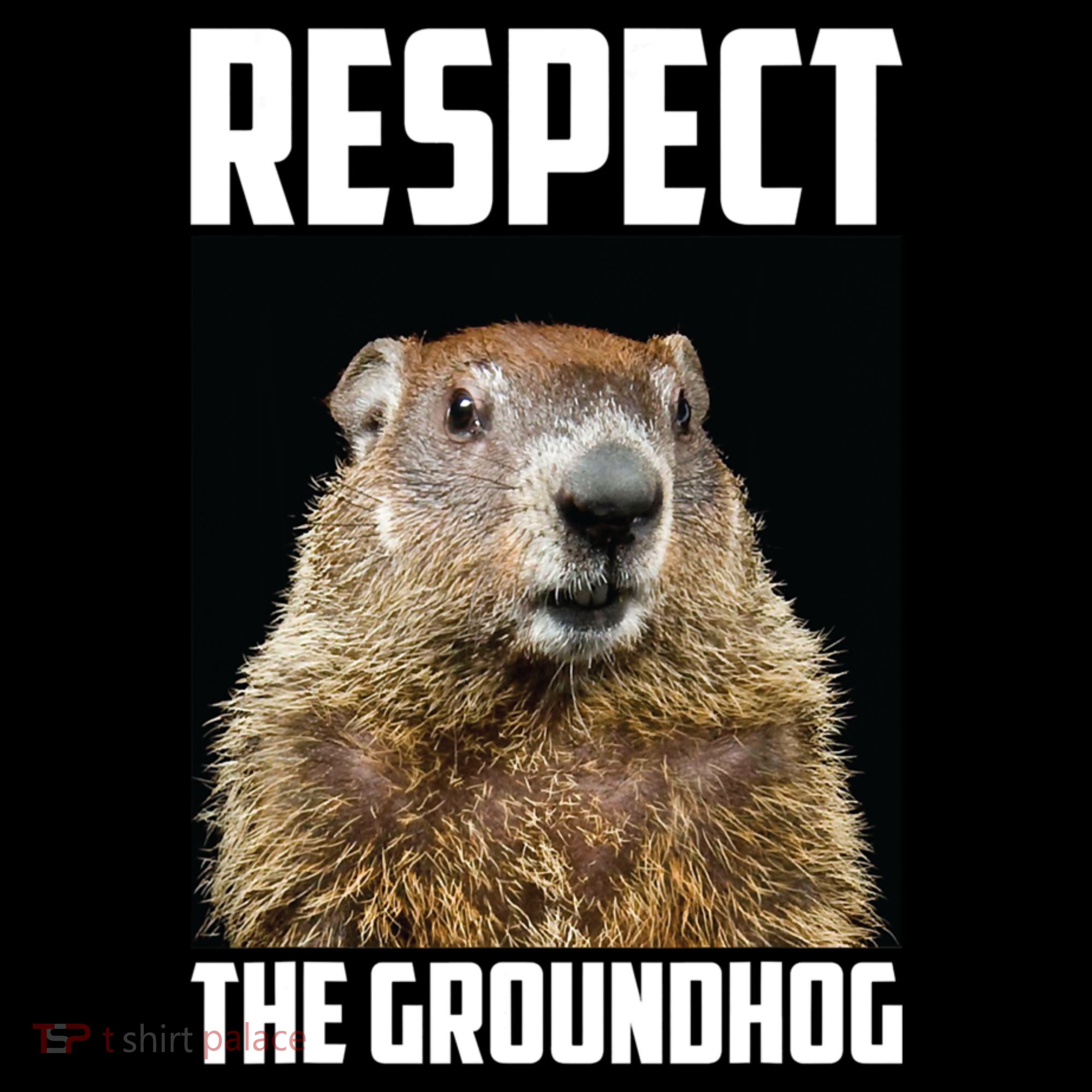 Respect The Groundhog Day Funny Rodent Gift Women's Hoodie