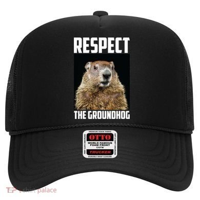 Respect The Groundhog Day Funny Rodent Gift Hat