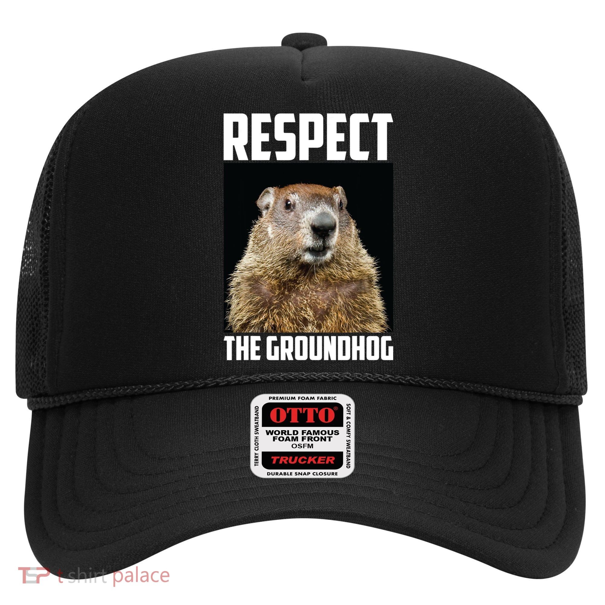 Respect The Groundhog Day Funny Rodent Gift Hat