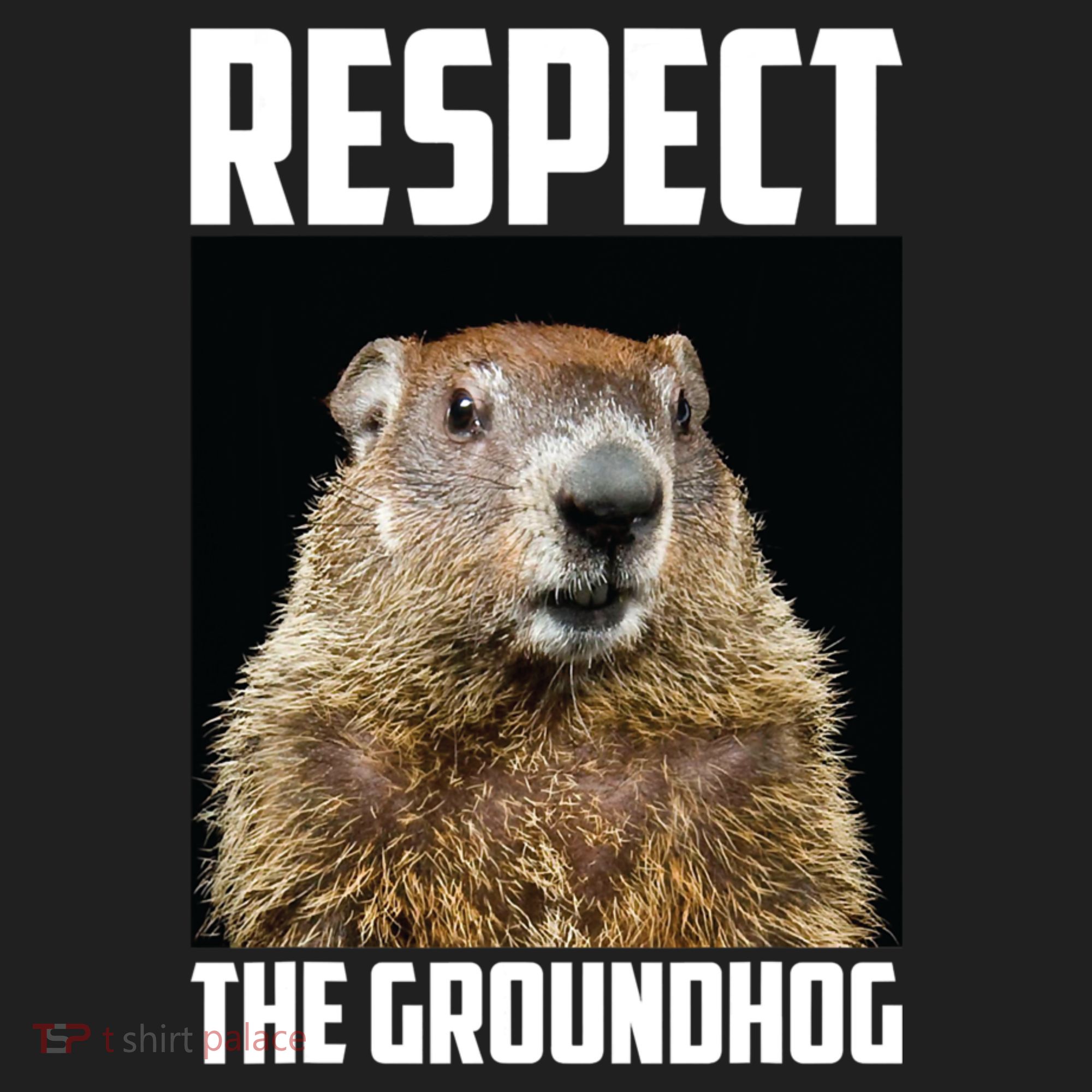 Respect The Groundhog Day Funny Rodent Gift Hat