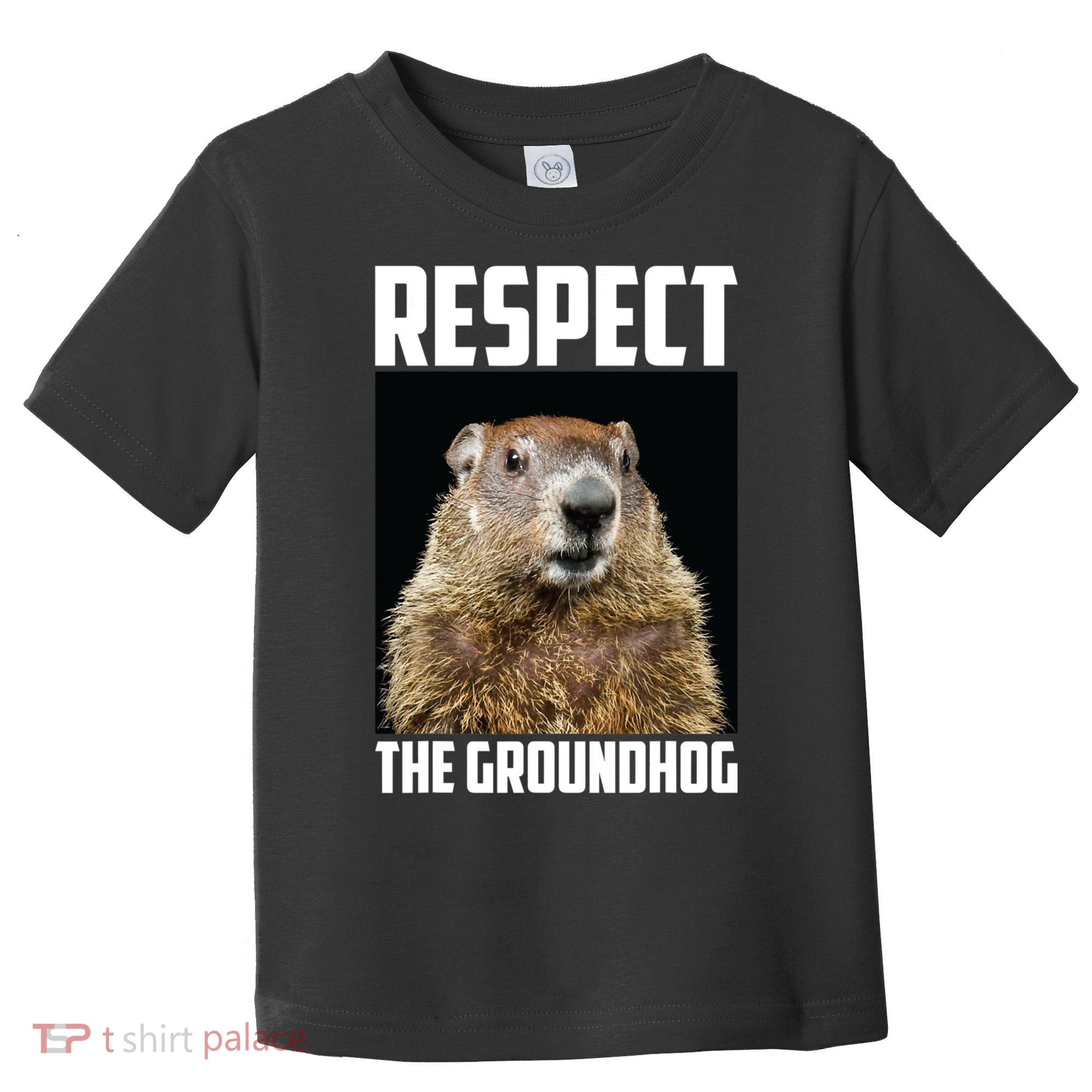 Respect The Groundhog Day Funny Rodent Gift Toddler T-Shirt