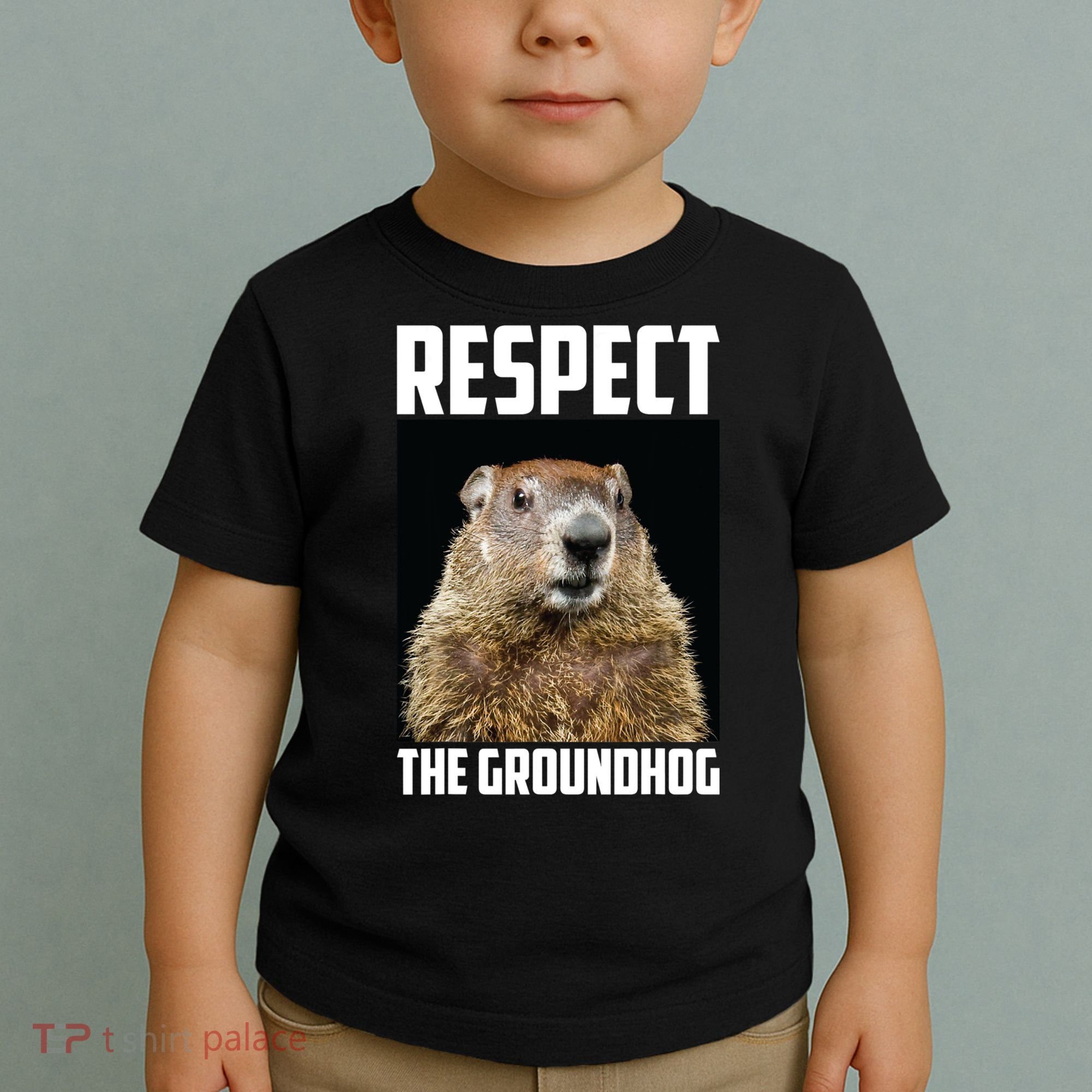 Respect The Groundhog Day Funny Rodent Gift Toddler T-Shirt