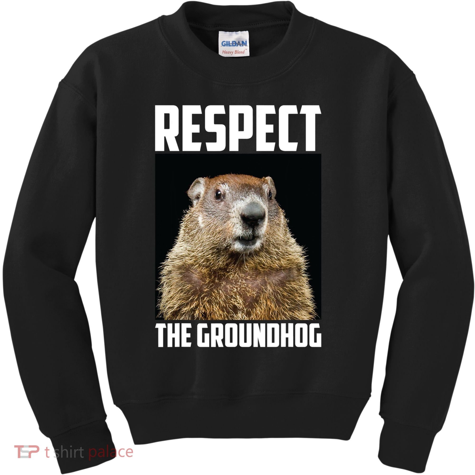 Respect The Groundhog Day Funny Rodent Gift Kids Sweatshirt