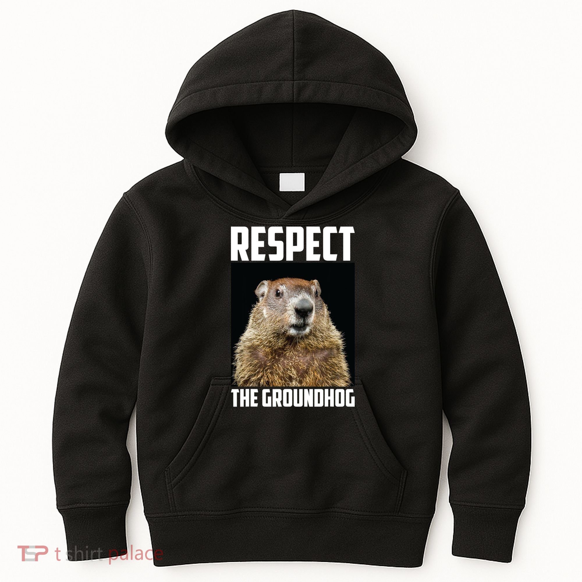 Respect The Groundhog Day Funny Rodent Gift Kids Hoodie