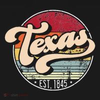 Retro Texas Home State Tx Cool 70s Style Sunset Apron thumb 3