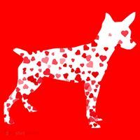 Rat Terrier Heart Dog Valentine's Day Gift Santa Hat thumb 1