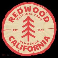 Redwood Trees In The National Forest TShirt Coffee Mug thumb 5