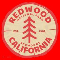 Redwood Trees In The National Forest TShirt Santa Hat thumb 1