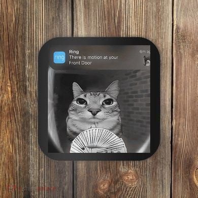 Ring There Is Motion At Your Front Door Funny Coaster