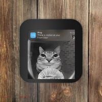 Ring There Is Motion At Your Front Door Funny Coaster thumb 0