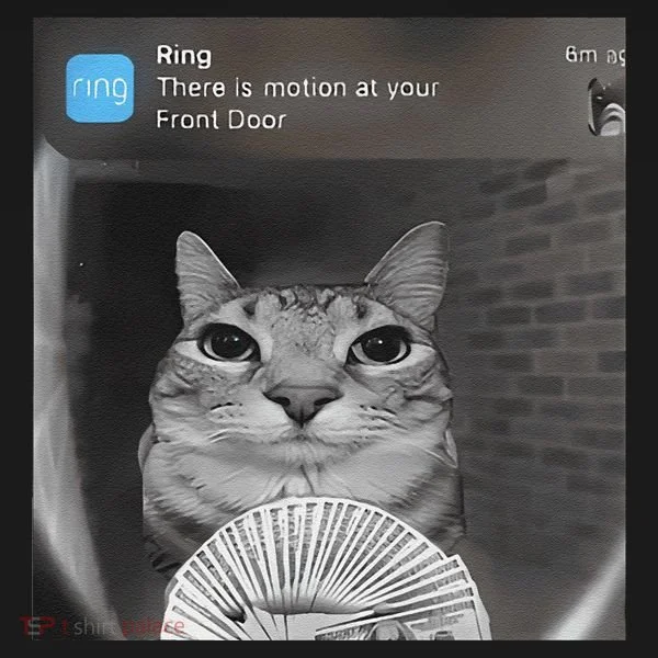 Ring There Is Motion At Your Front Door Funny Women's Hoodie