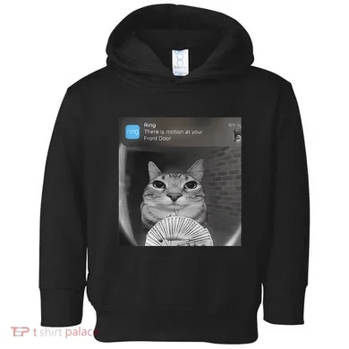 Toddler Hoodie