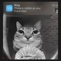 Ring There Is Motion At Your Front Door Funny Tank Top thumb 6