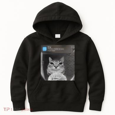 Ring There Is Motion At Your Front Door Funny Kids Hoodie
