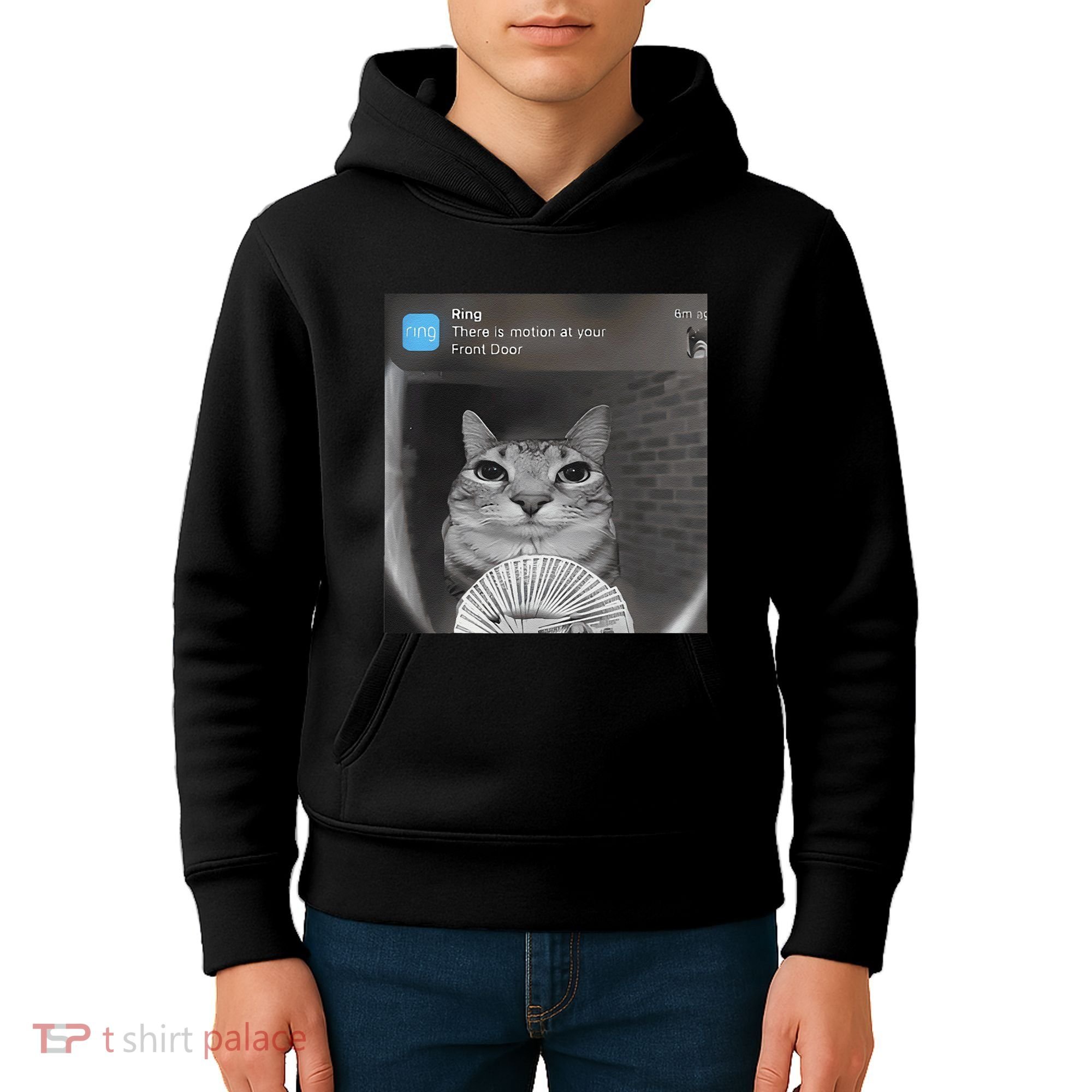 Ring There Is Motion At Your Front Door Funny Kids Hoodie