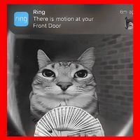 Ring There Is Motion At Your Front Door Funny Santa Hat thumb 1