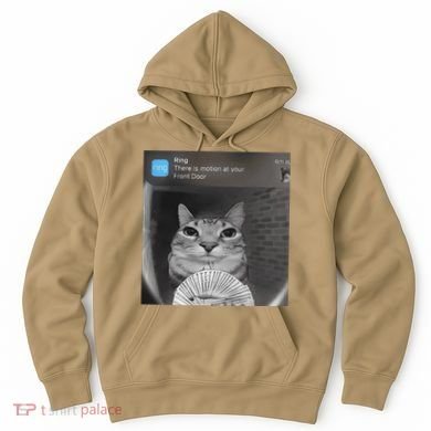 Ring There Is Motion At Your Front Door Funny Hoodie