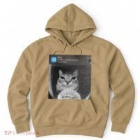 Ring There Is Motion At Your Front Door Funny Hoodie thumb 0