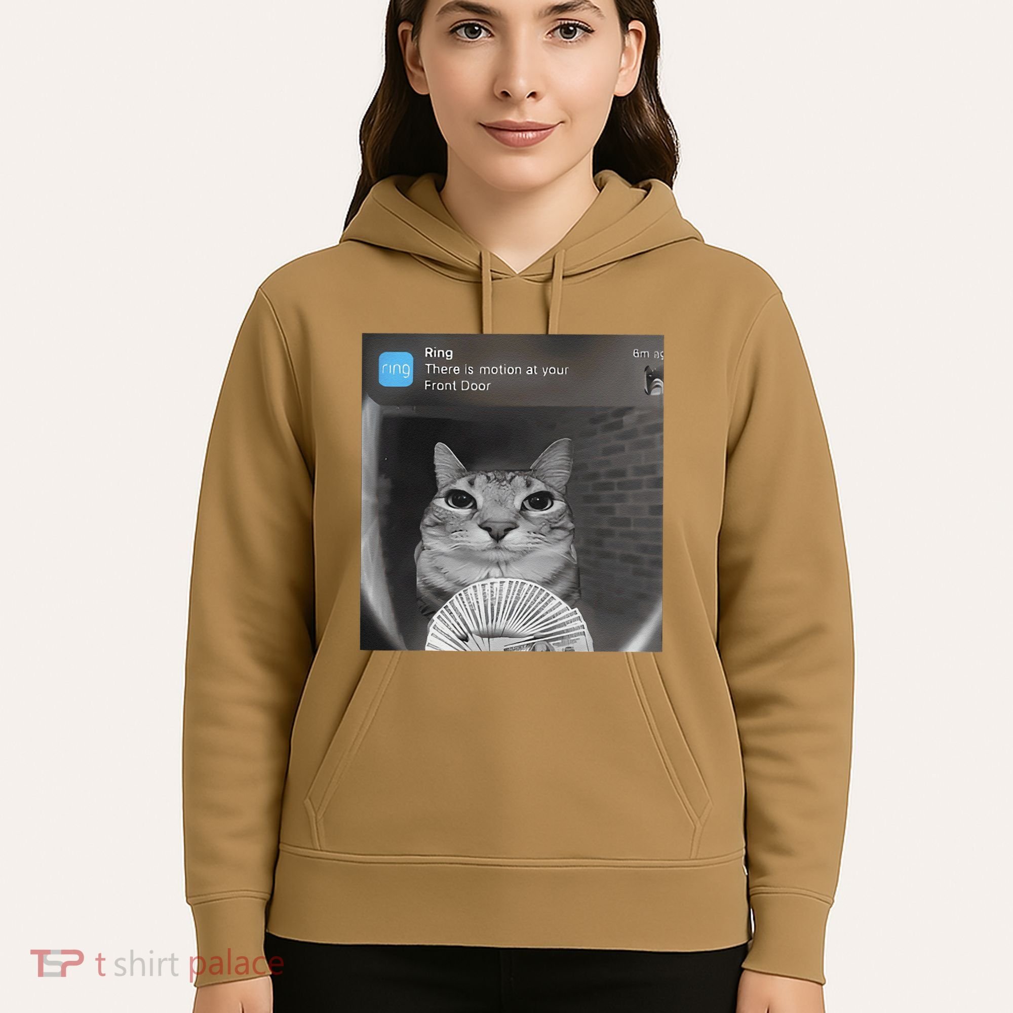 Ring There Is Motion At Your Front Door Funny Hoodie